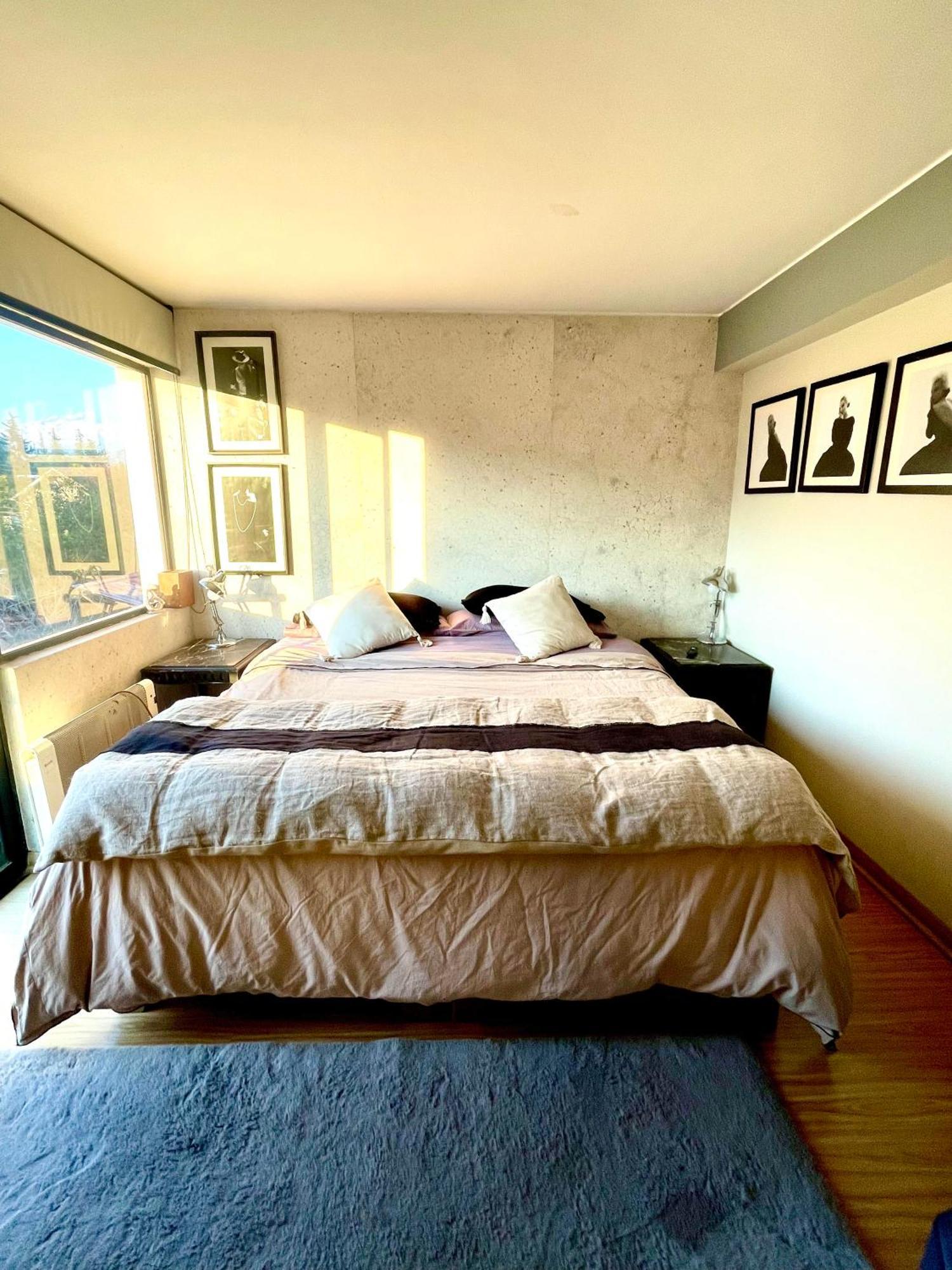 Departamento Delux Apartman Santiago Kültér fotó